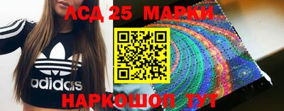 mdma Гатчина