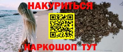 mdma Гатчина