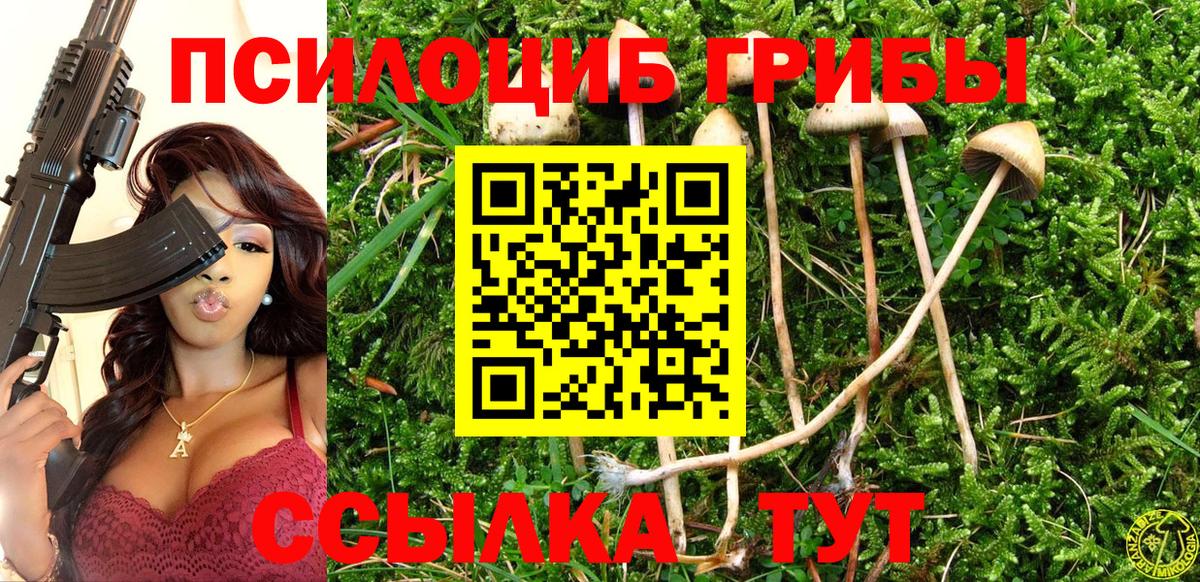 Галлюциногенные грибы GOLDEN TEACHER Камышин
