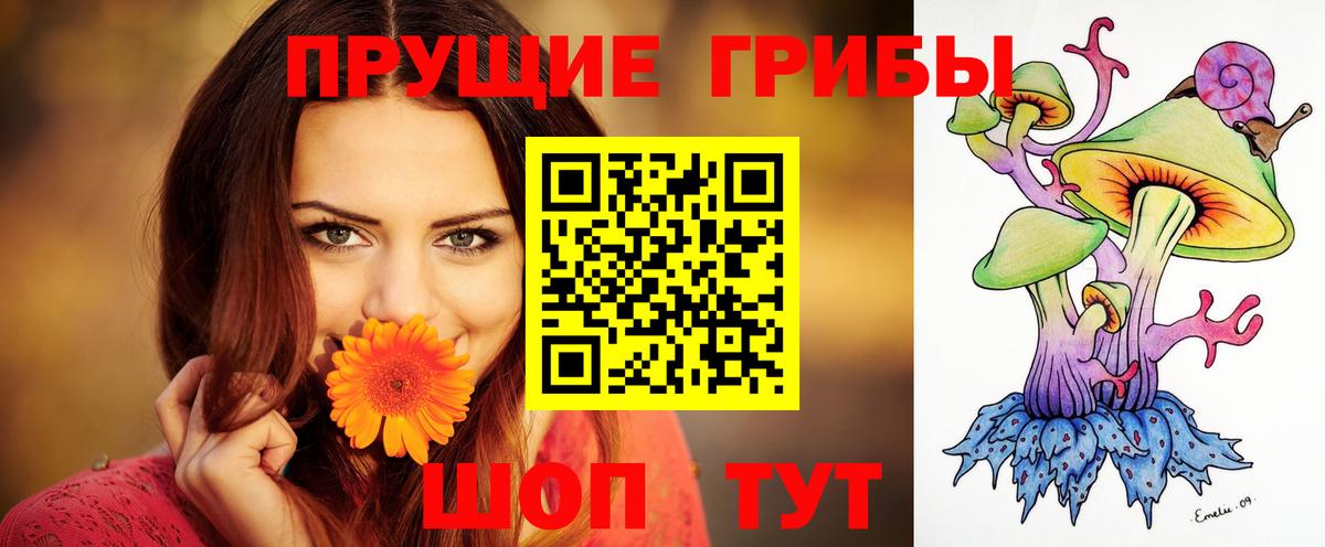 Камышин  Псилоцибиновые грибы Psilocybine cubensis  Вход с VPN  где найти наркотики  Псилоцибиновые грибы Psilocybine cubensis 