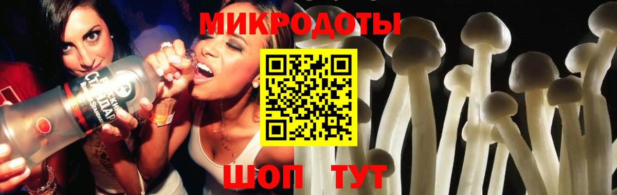 Псилоцибиновые грибы Cubensis Камышин